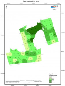 Phosphorus map