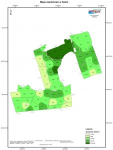 Mapa zasobności w fosfor